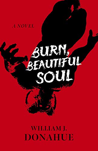 Beispielbild fr Burn, Beautiful Soul zum Verkauf von Blackwell's