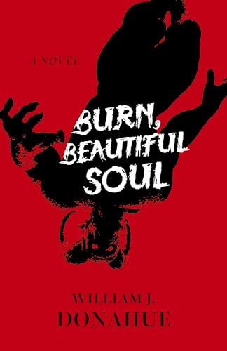 Stock image for Burn, Beautiful Soul: A Novel for sale by Bulk Book Warehouse