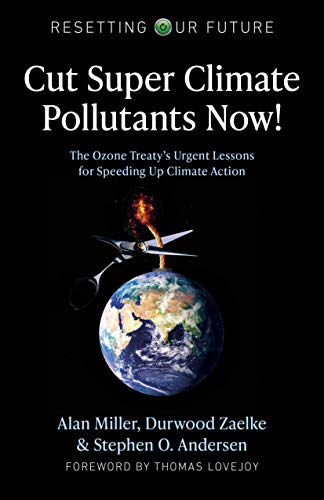 Beispielbild fr Resetting Our Future: Cut Super Climate Pollutants Now!; The Ozone Treatys Urgent Lessons for Speeding Up Climate Action: 9 zum Verkauf von WorldofBooks