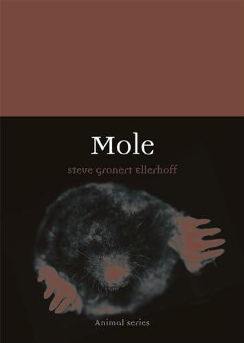 Beispielbild fr Mole zum Verkauf von Better World Books
