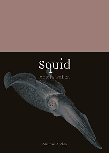 Stock image for Squid (Animal) for sale by Weird Books