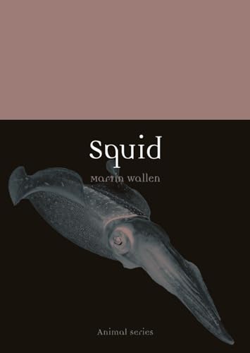 Stock image for Squid (Animal) for sale by Weird Books