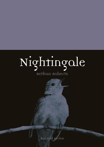 9781789144741: Nightingale (Animal)