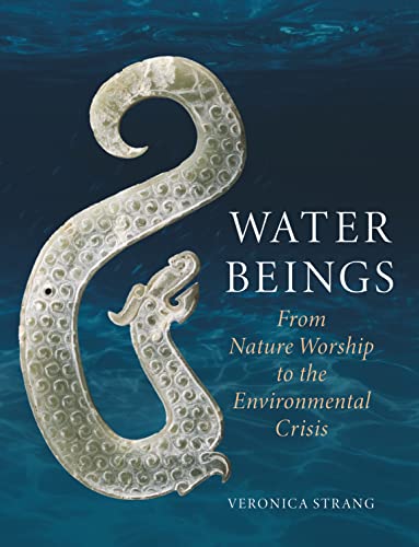 Beispielbild fr Water Beings: From Nature Worship to the Environmental Crisis zum Verkauf von Monster Bookshop