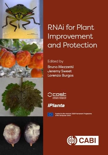 9781789248890: RNAi for Plant Improvement and Protection