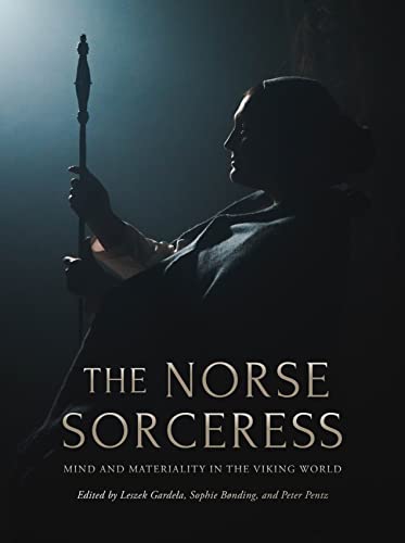 Beispielbild fr The Norse Sorceress zum Verkauf von PBShop.store US