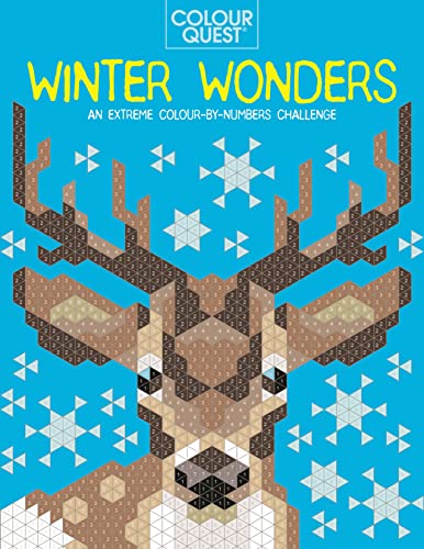 Imagen de archivo de Colour Quest: Winter Wonders: An Extreme Colour by Numbers Challenge a la venta por GF Books, Inc.