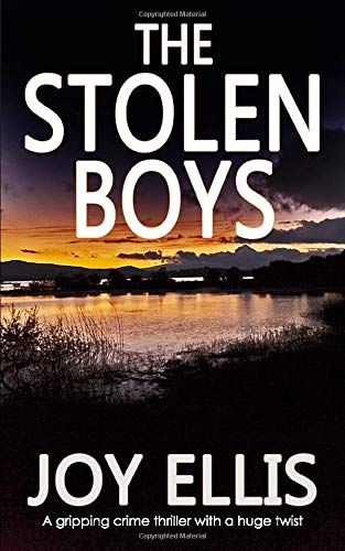 Stock image for THE STOLEN BOYS a gripping crime thriller with a huge twist for sale by SecondSale