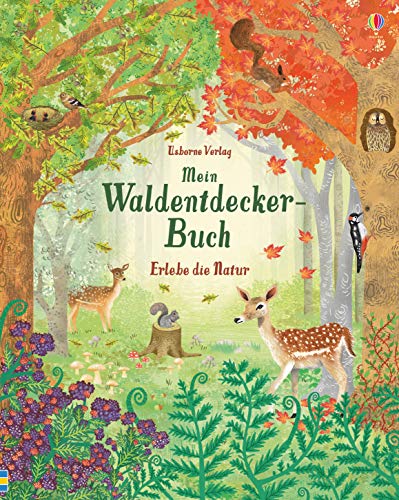 9781789411447: Mein Waldentdecker-Buch: Erlebe die Natur