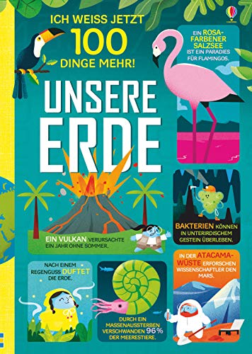 Stock image for Ich wei jetzt 100 Dinge mehr! Unsere Erde -Language: german for sale by GreatBookPrices