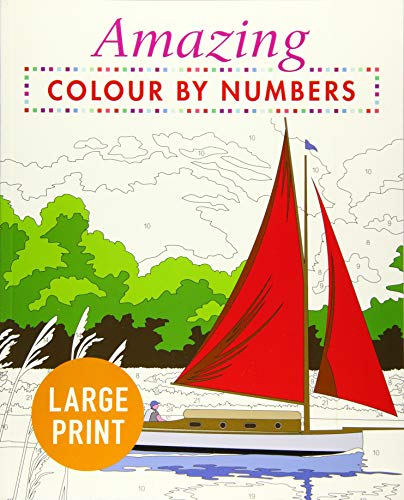 9781789500509: Amazing Colour-by-Numbers Large Print (Arcturus Colour by Numbers Collection)