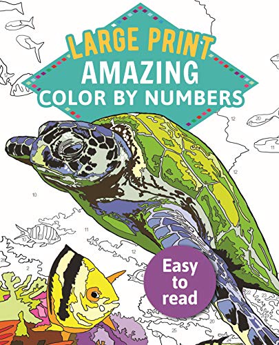 Imagen de archivo de Amazing Color by Numbers Large Print a la venta por ThriftBooks-Dallas