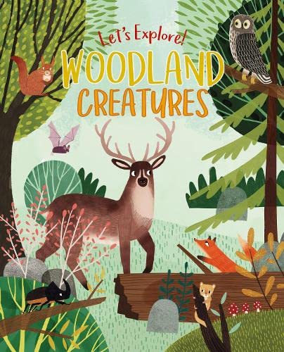 Imagen de archivo de Let's Explore! Woodland Creatures a la venta por WorldofBooks