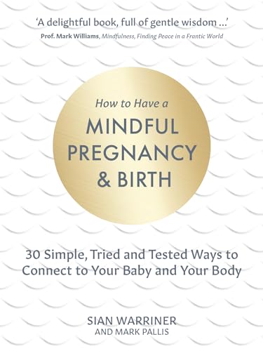 Beispielbild fr How to Have a Mindful Pregnancy and Birth: 30 Simple Ways to Connect with Your Baby and Your Body zum Verkauf von WorldofBooks