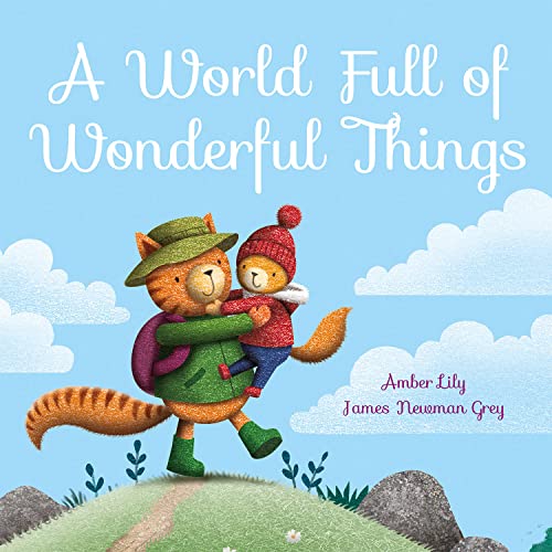 Imagen de archivo de A World Full of Wonderful Things (Picture Storybooks) a la venta por AwesomeBooks