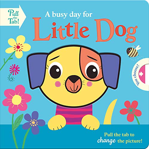 Stock image for A busy day for Little Dog (Push Pull Stories) for sale by AwesomeBooks