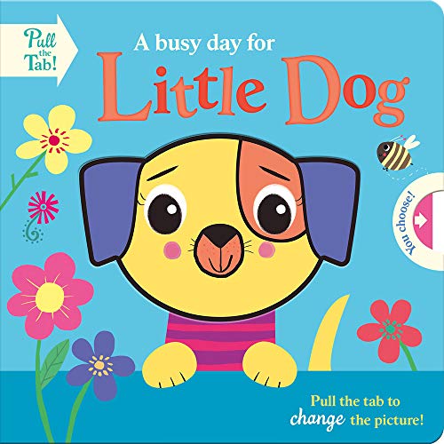 9781789588644: A Busy Day for Little Dog (Push Pull Stories)