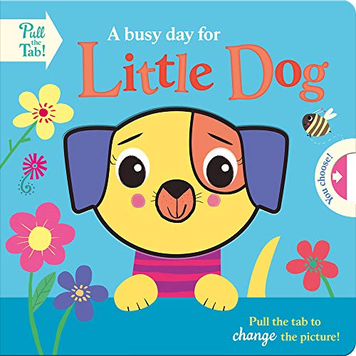 9781789588644: A busy day for Little Dog (Push Pull Stories)