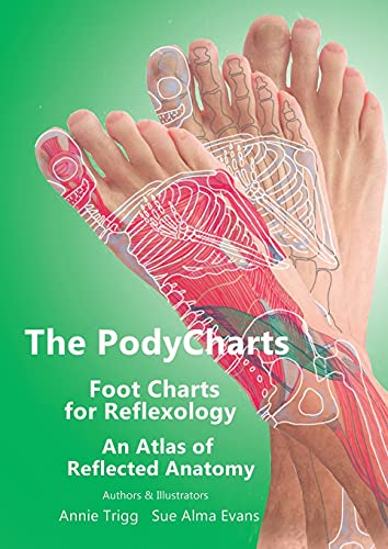 Stock image for The PodyCharts Foot Charts for Reflexology: An atlas of reflected anatomy for sale by GF Books, Inc.