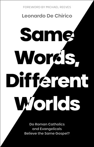 Beispielbild fr Same Words, Different Worlds zum Verkauf von Blackwell's