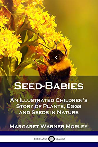 Imagen de archivo de Seed-Babies: An Illustrated Children's Story of Plants, Eggs and Seeds in Nature a la venta por Half Price Books Inc.