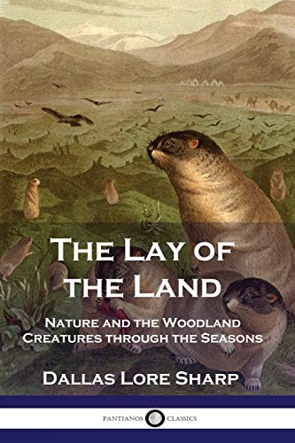 Imagen de archivo de The Lay of the Land: Nature and the Woodland Creatures through the Seasons a la venta por GF Books, Inc.