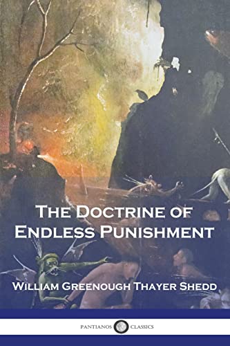 Imagen de archivo de The Doctrine of Endless Punishment a la venta por GF Books, Inc.