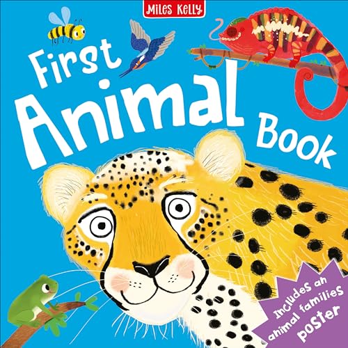 Imagen de archivo de First Animal Book a la venta por AwesomeBooks