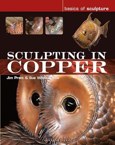 Beispielbild fr Sculpting in Copper zum Verkauf von Revaluation Books