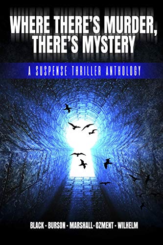 Beispielbild fr Where There's Murder, There's Mystery: A Suspense Thriller Anthology zum Verkauf von Lucky's Textbooks