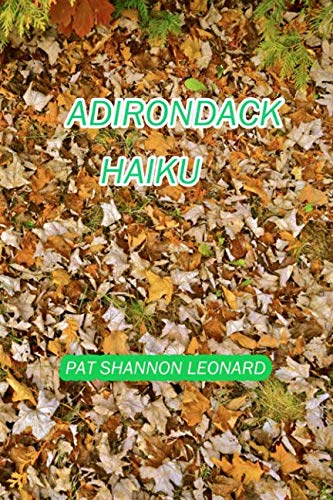 Stock image for Adirondack Haiku for sale by Revaluation Books