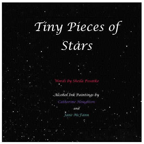 Imagen de archivo de Tiny Pieces of Stars a la venta por Revaluation Books