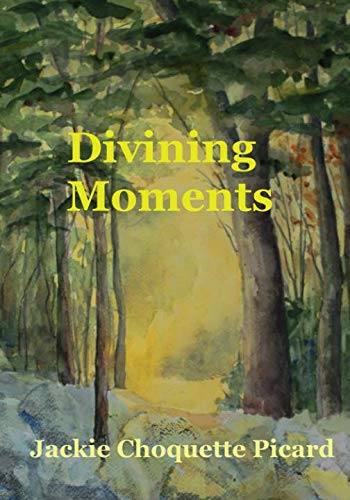 Beispielbild fr Divining Moments zum Verkauf von SecondSale