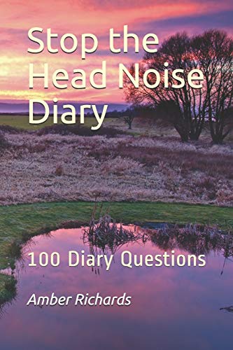9781790800384: Stop the Head Noise Diary: 100 Diary Questions