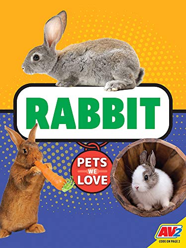Imagen de archivo de Rabbit a la venta por Better World Books