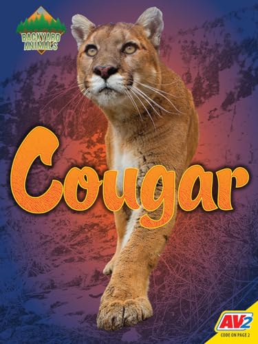 9781791120795: Cougar (Backyard Animals)