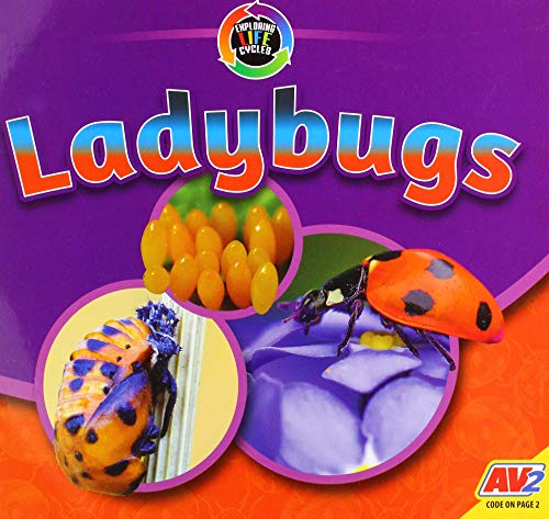 Beispielbild fr Ladybugs zum Verkauf von Buchpark