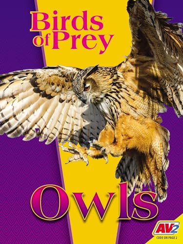 9781791147006: Owls (Birds of Prey)