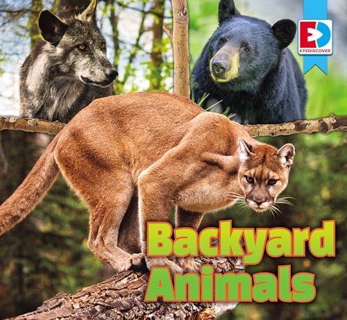 Imagen de archivo de Backyard Animals (Eyediscover) a la venta por HPB-Ruby