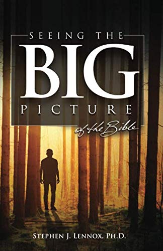 Stock image for Seeing The Big Picture Of The Bible for sale by Firefly Bookstore