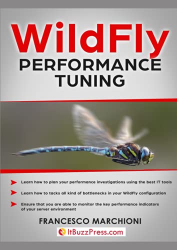 Imagen de archivo de WildFly Performance Tuning a la venta por medimops