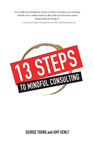 Stock image for 13 Steps to Mindful Consulting for sale by Jenson Books Inc