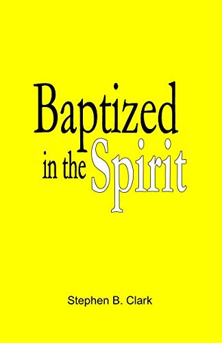 Beispielbild fr Baptized in the Spirit zum Verkauf von Revaluation Books