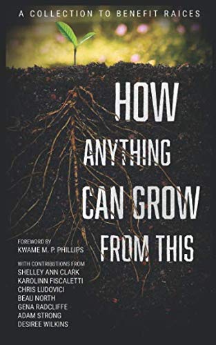 Stock image for How Anything Can Grow From This: A Collection to Benefit RAICES for sale by Revaluation Books