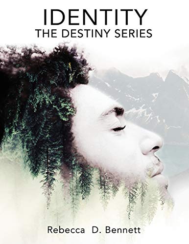 Stock image for Identity: The Destiny Series for sale by ThriftBooks-Dallas