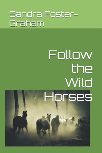 Stock image for Follow the Wild Horses for sale by Lucky's Textbooks