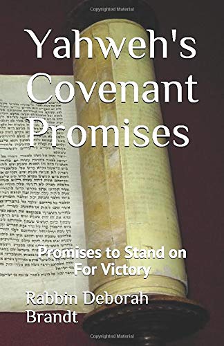 Imagen de archivo de Yahweh's Covenant Promises: Promises to Stand on For Victory a la venta por Revaluation Books