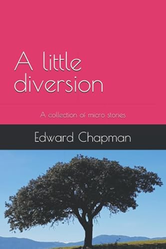 Stock image for A little diversion: A collection of micro stories for sale by Revaluation Books