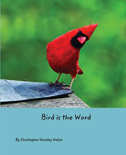 Beispielbild fr Bird is the Word zum Verkauf von Buchpark