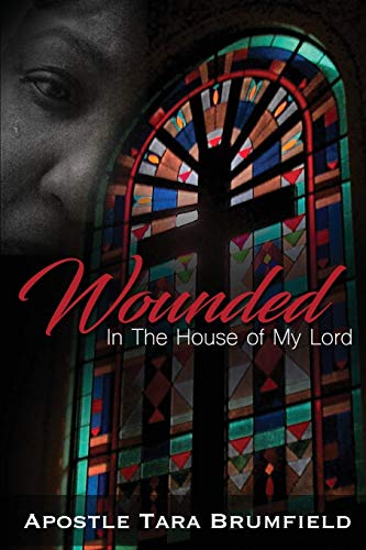 Stock image for Wounded in the House of My Lord for sale by Lucky's Textbooks